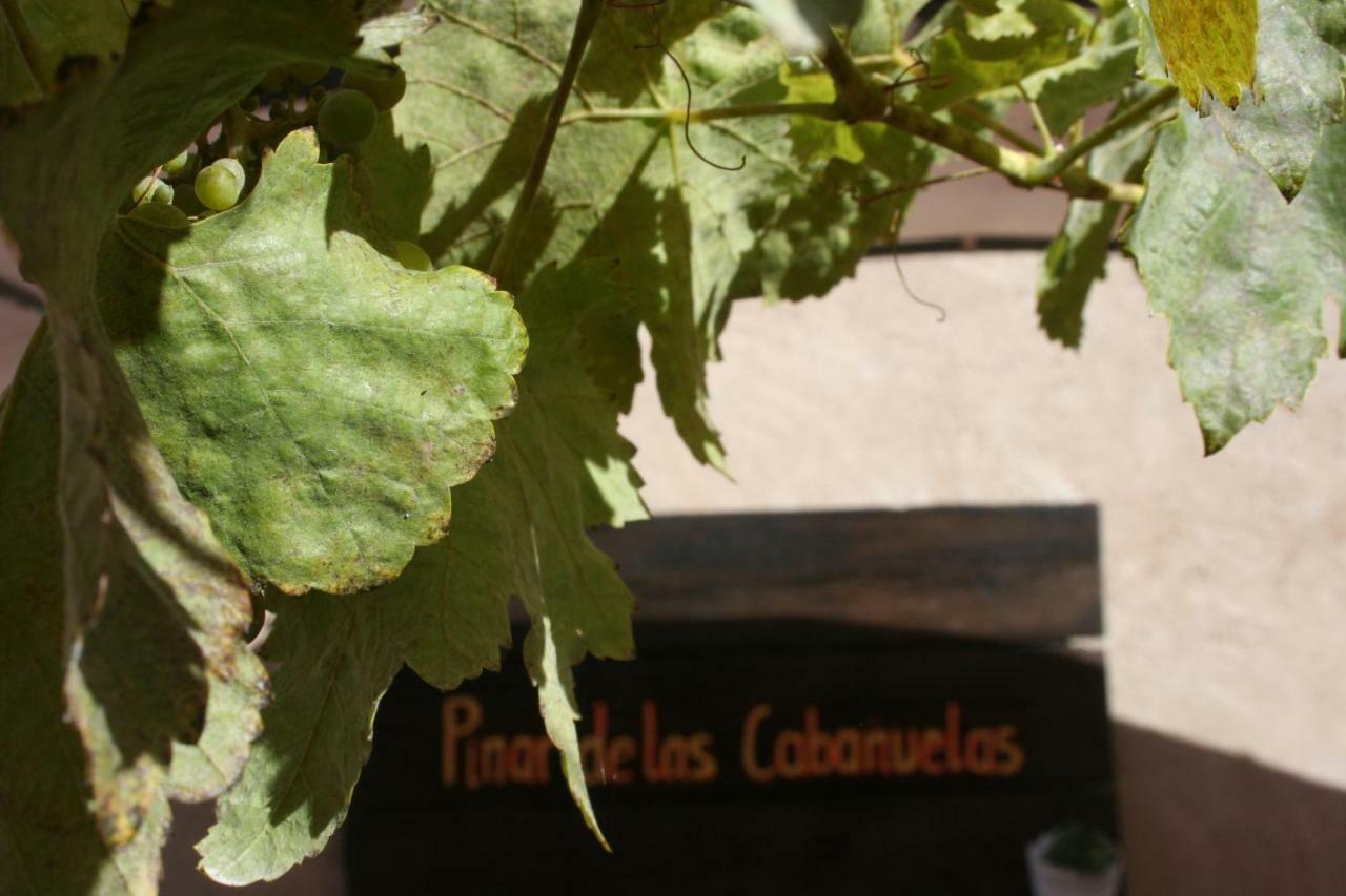 Pinar De Las Cabanuelas Villanueva de Duero Ngoại thất bức ảnh