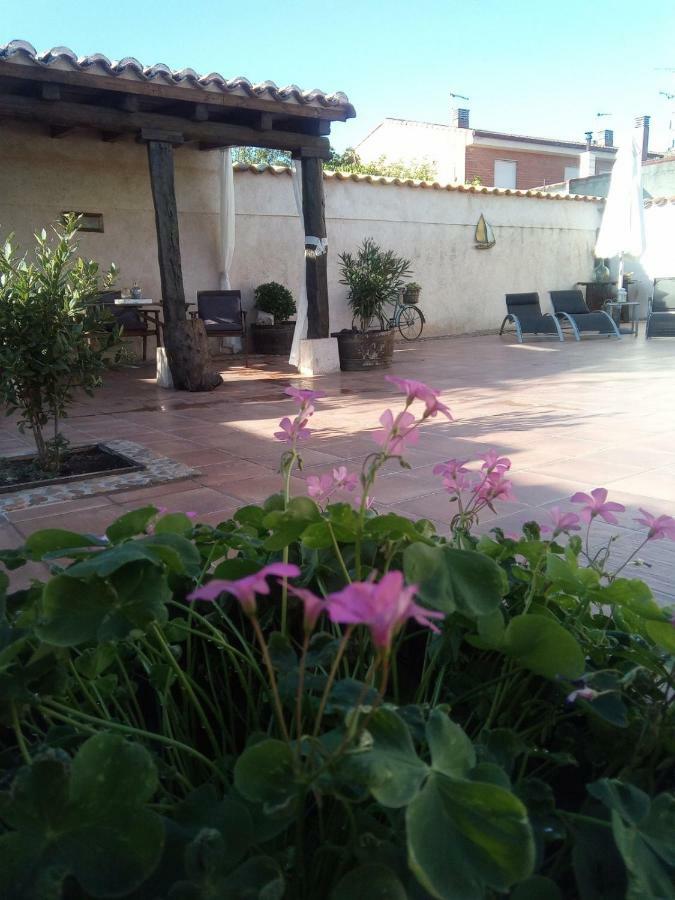 Pinar De Las Cabanuelas Villanueva de Duero Ngoại thất bức ảnh